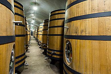 VR开发商NDreams获得3500万美元投资 将用于扩大公司规模